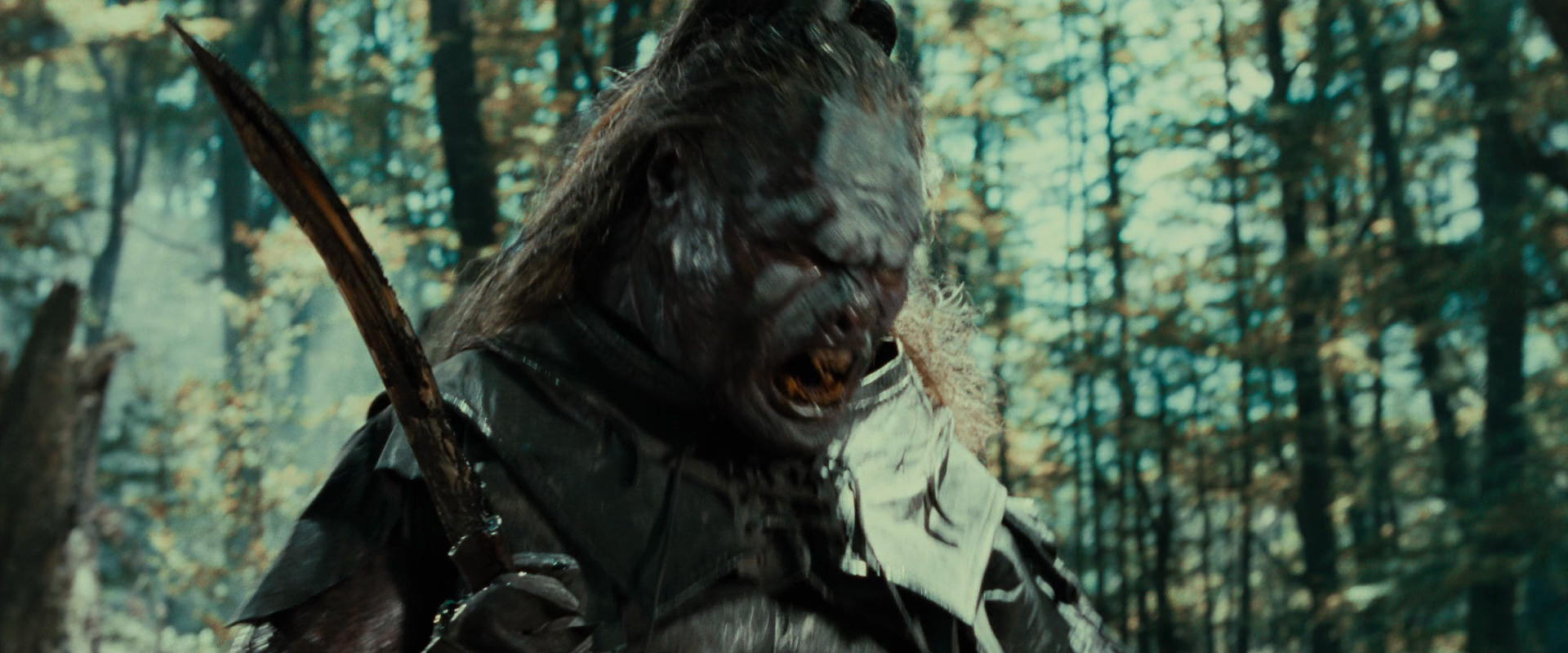 The Lord of the Rings: The Fellowship of the Ring (2001) screencap 22692
