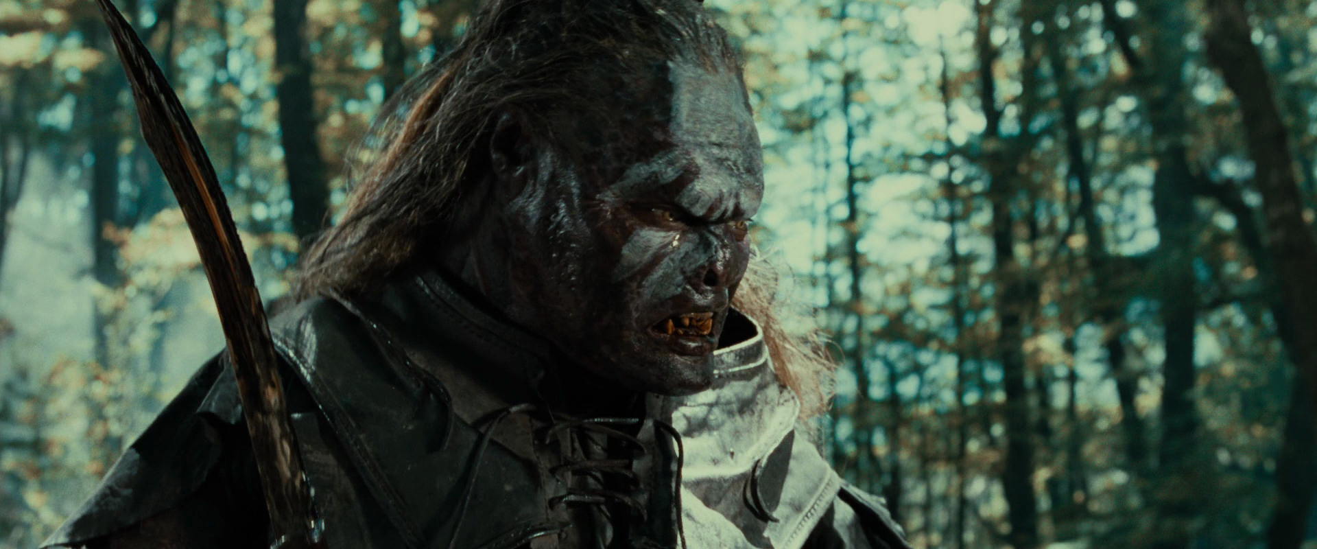 The Lord of the Rings: The Fellowship of the Ring (2001) movie still 22693