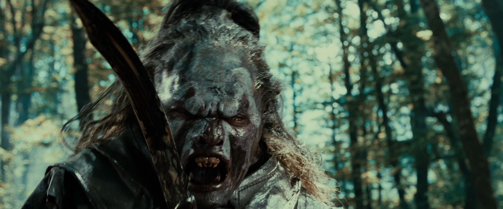 The Lord of the Rings: The Fellowship of the Ring (2001) screencap 22695