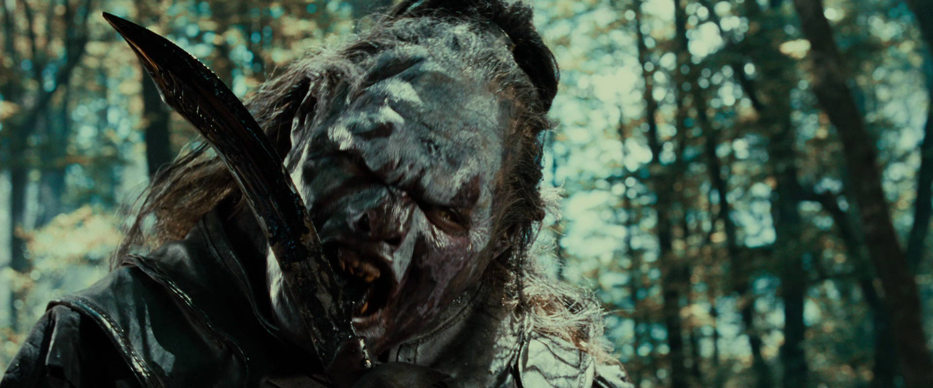 The Lord of the Rings: The Fellowship of the Ring (2001) movie still 22696