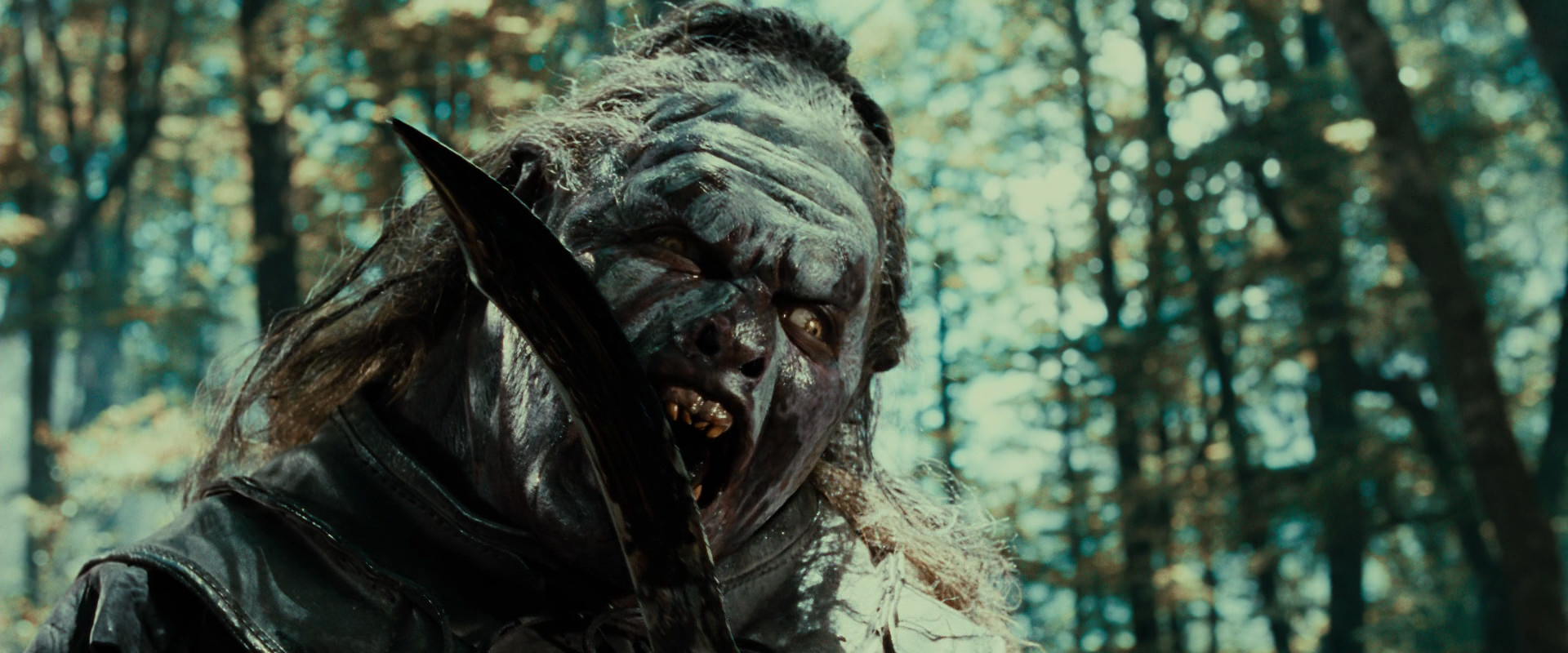 The Lord of the Rings: The Fellowship of the Ring (2001) HD screenshot 22697