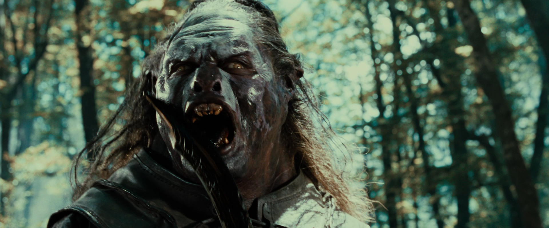 The Lord of the Rings: The Fellowship of the Ring (2001) screencap 22698