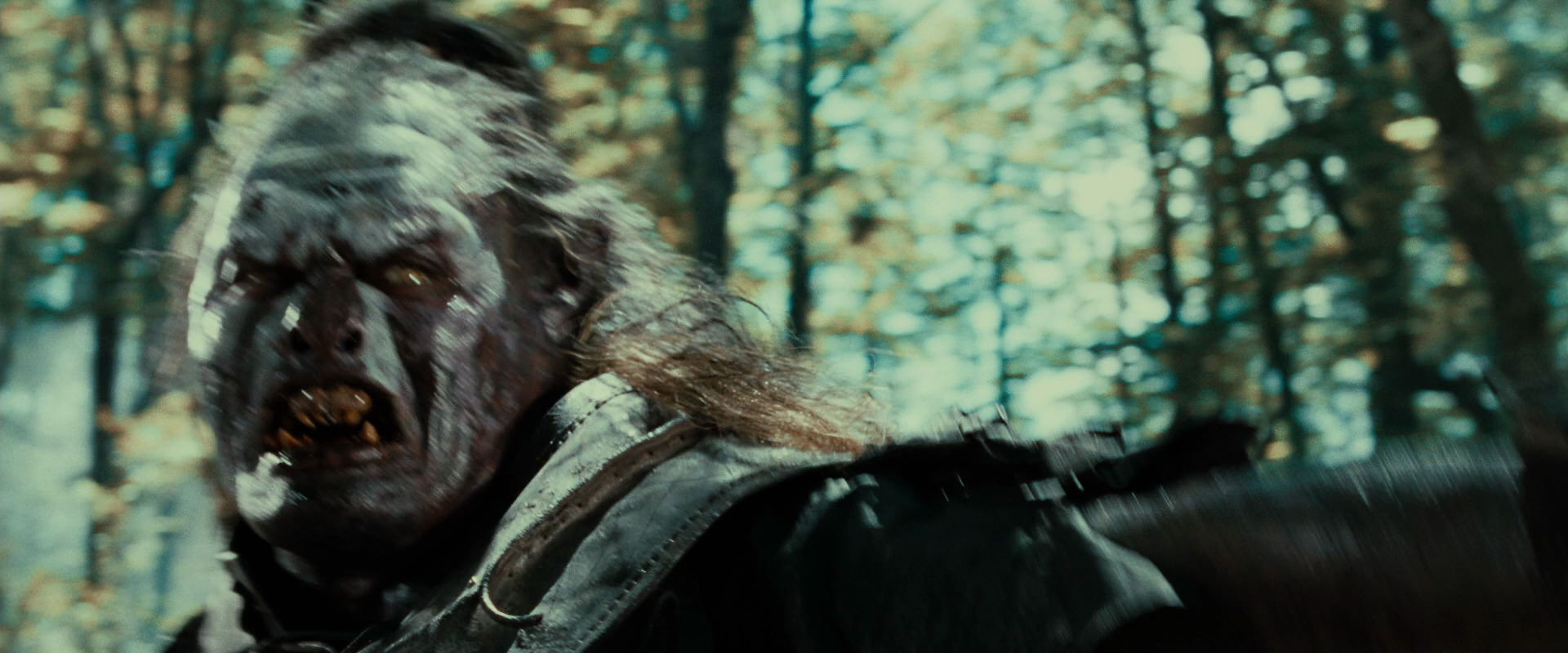 The Lord of the Rings: The Fellowship of the Ring (2001) HD screenshot 22700
