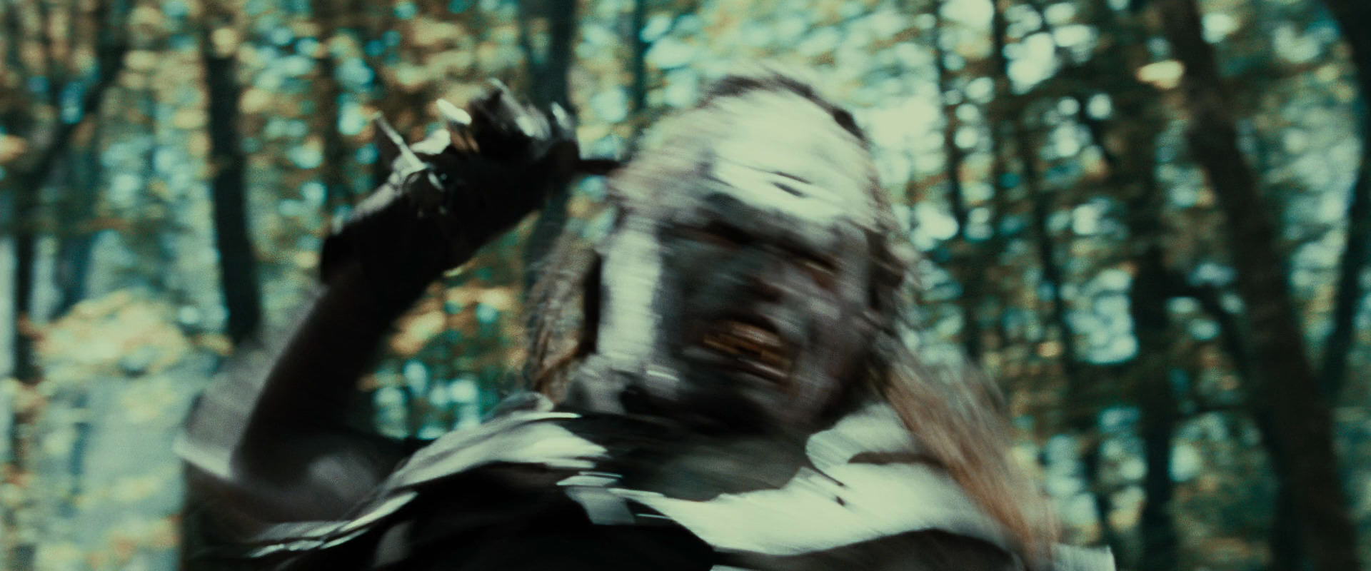 The Lord of the Rings: The Fellowship of the Ring (2001) screencap 22701
