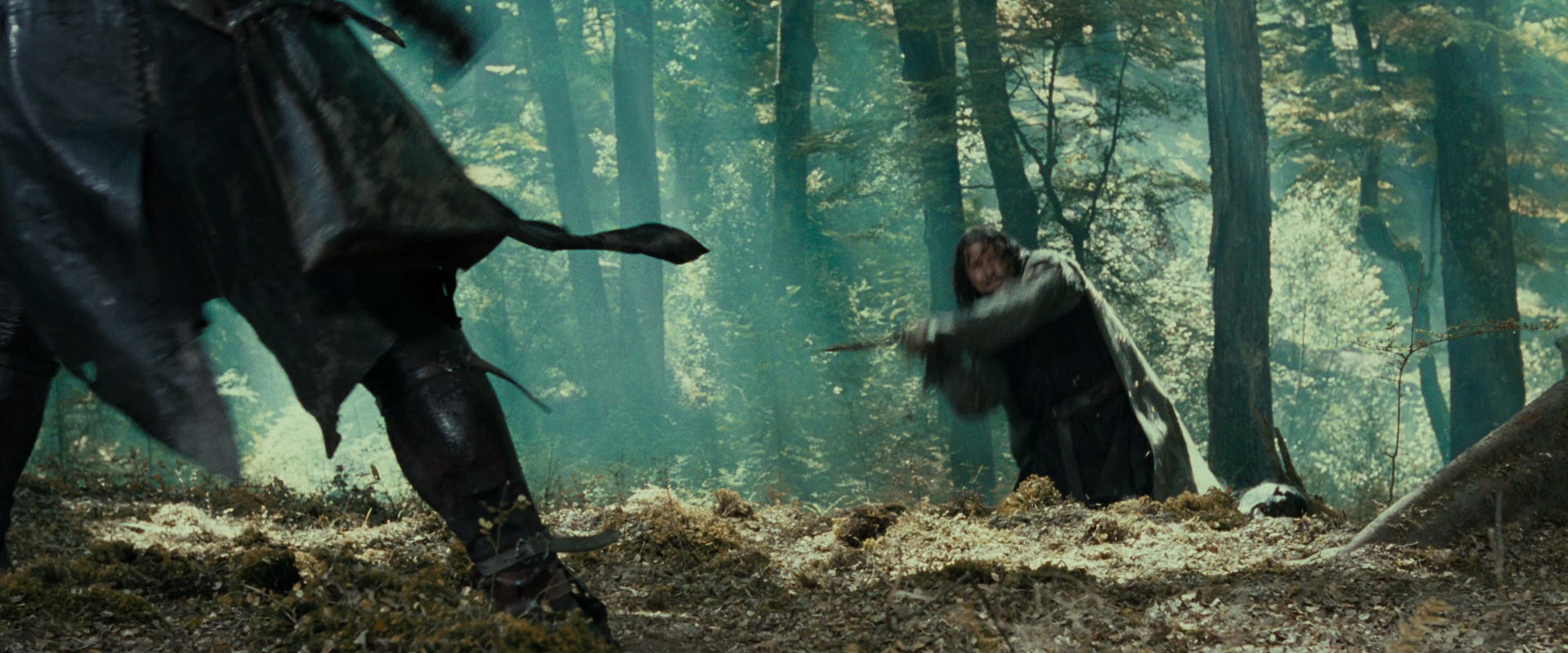 The Lord of the Rings: The Fellowship of the Ring (2001) movie still 22702