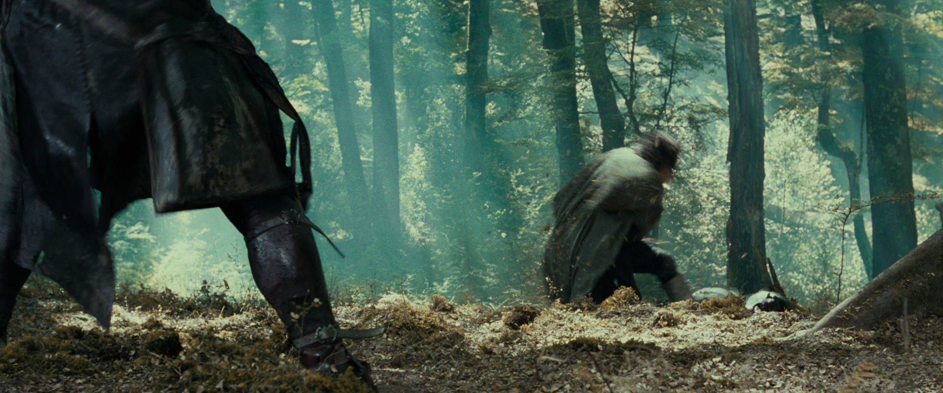 The Lord of the Rings: The Fellowship of the Ring (2001) HD screenshot 22703