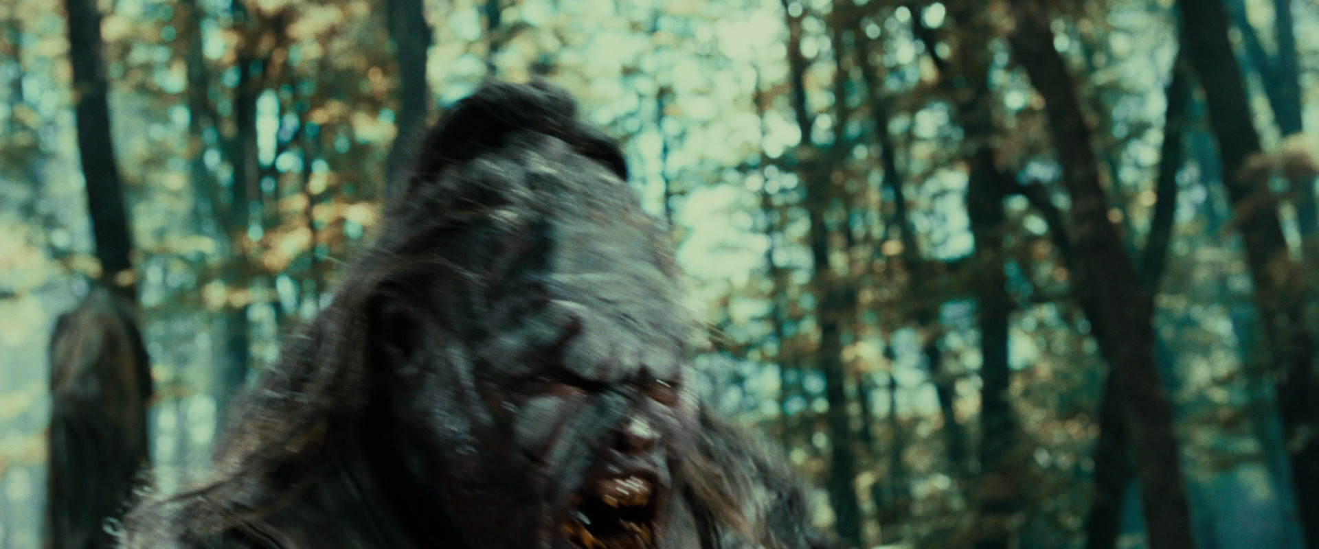 The Lord of the Rings: The Fellowship of the Ring (2001) screencap 22704