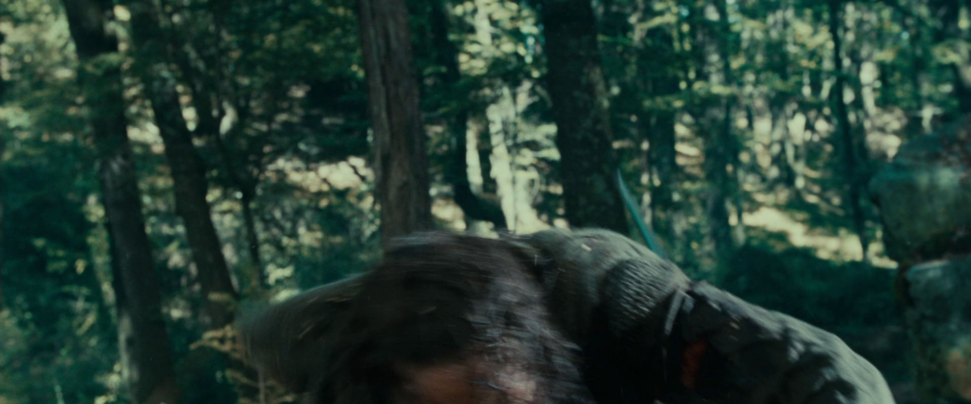 The Lord of the Rings: The Fellowship of the Ring (2001) screencap 22707