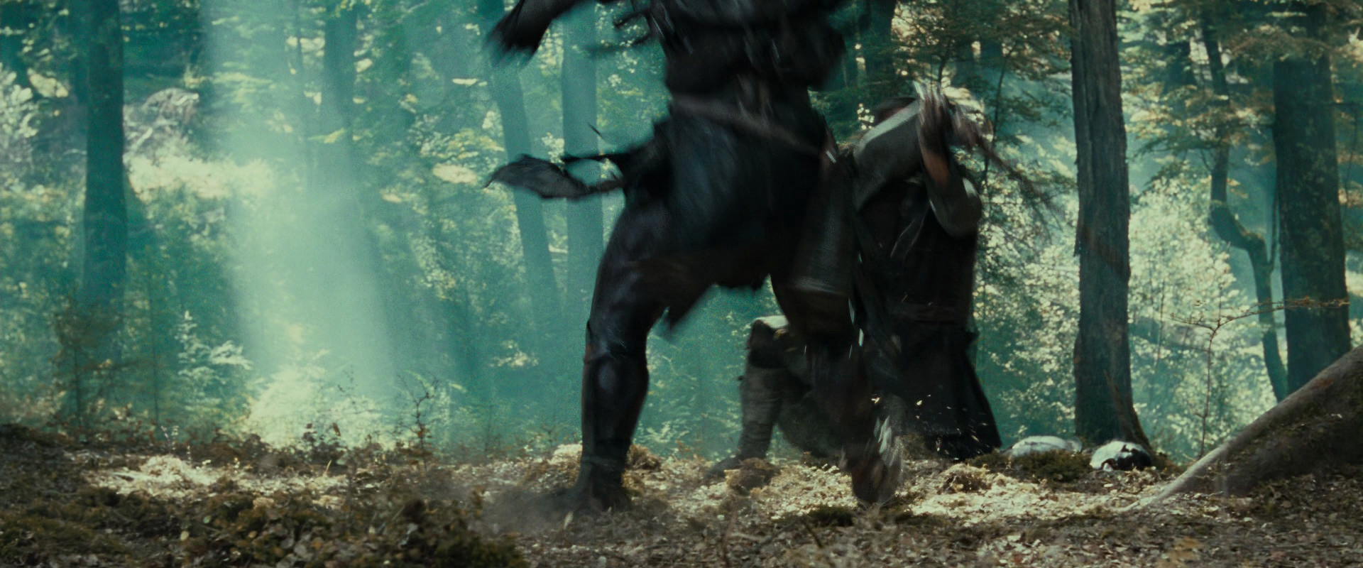 The Lord of the Rings: The Fellowship of the Ring (2001) movie still 22708