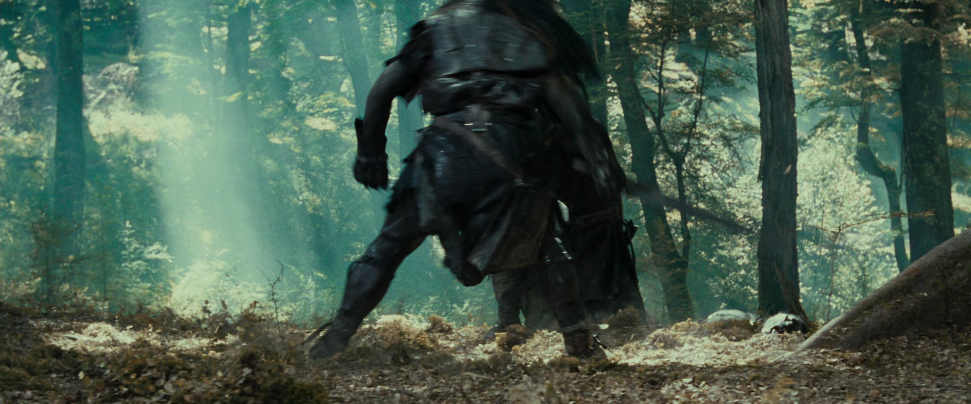 The Lord of the Rings: The Fellowship of the Ring (2001) HD screenshot 22709