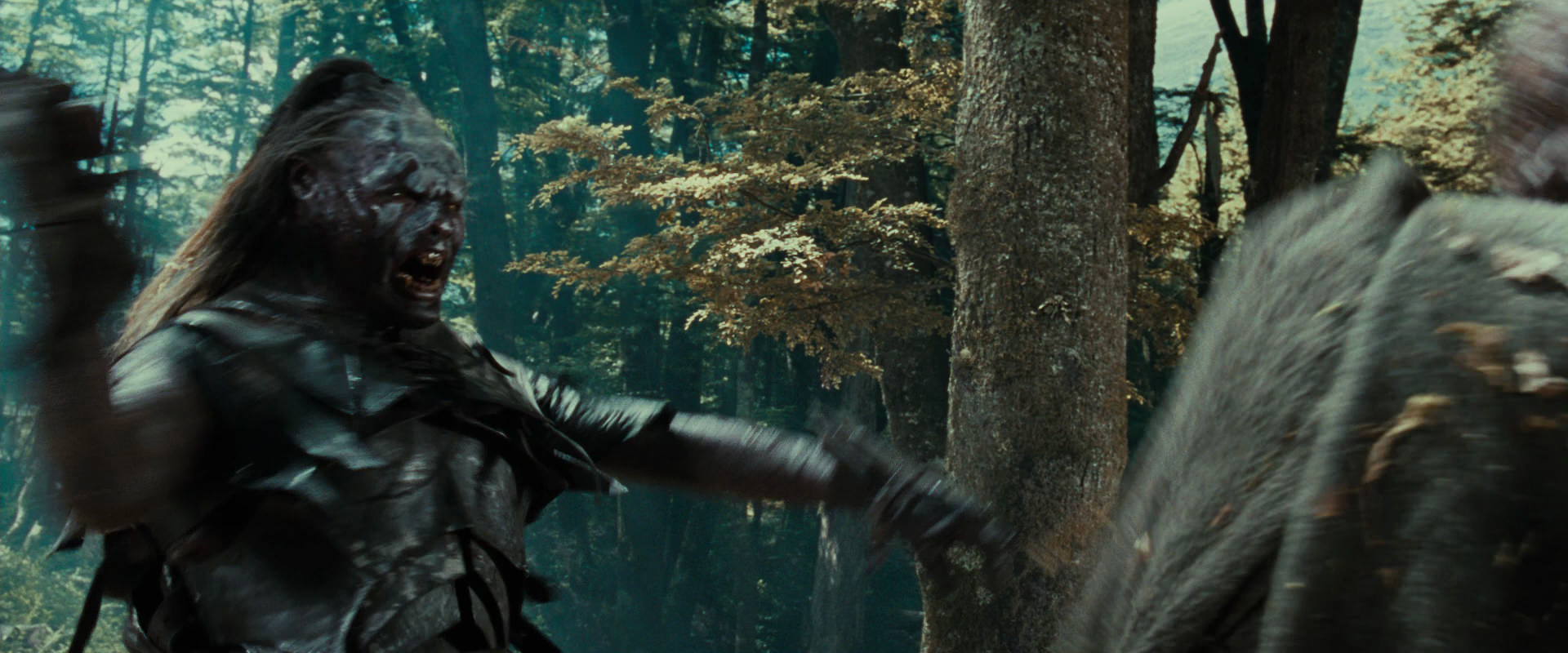 The Lord of the Rings: The Fellowship of the Ring (2001) screencap 22710