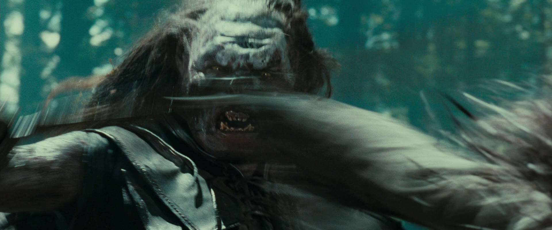 The Lord of the Rings: The Fellowship of the Ring (2001) screencap 22713