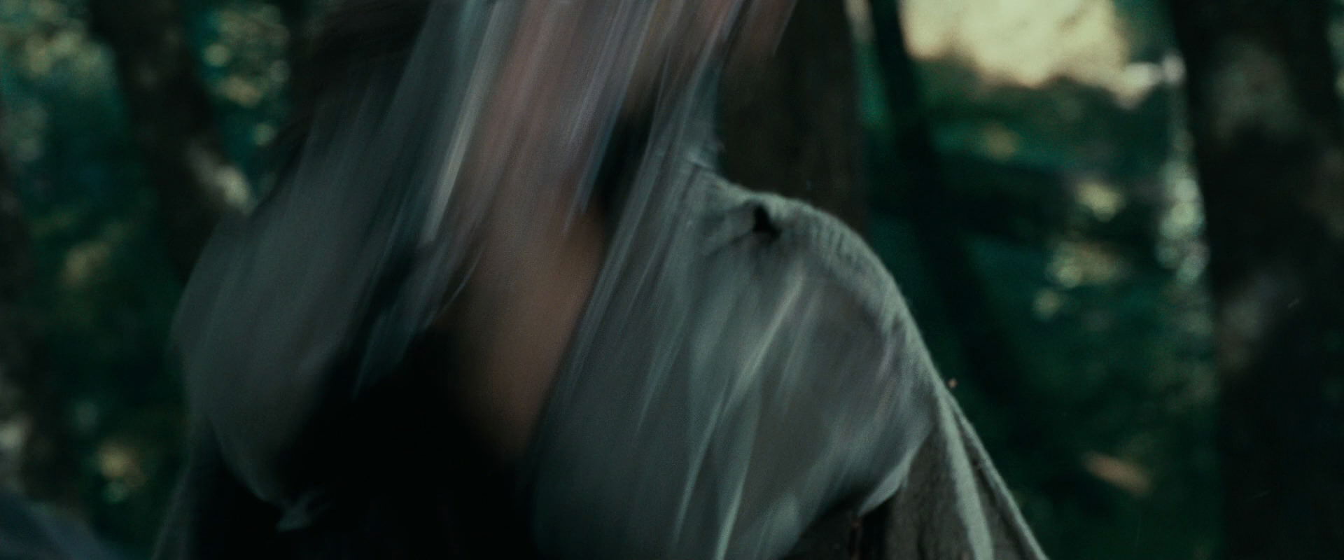 The Lord of the Rings: The Fellowship of the Ring (2001) screencap 22716