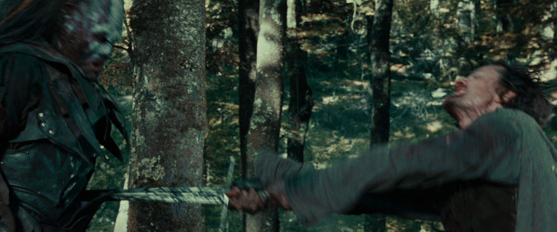 The Lord of the Rings: The Fellowship of the Ring (2001) HD screenshot 22718