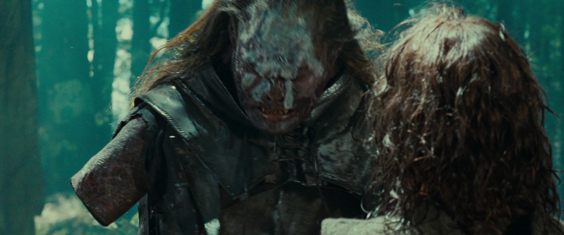 The Lord of the Rings: The Fellowship of the Ring (2001) movie still 22720