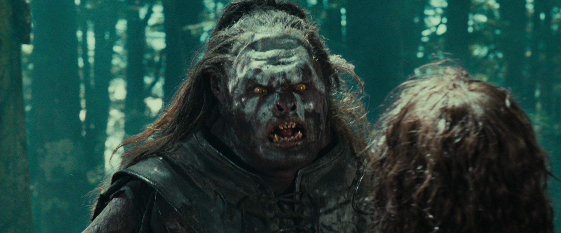 The Lord of the Rings: The Fellowship of the Ring (2001) HD screenshot 22724