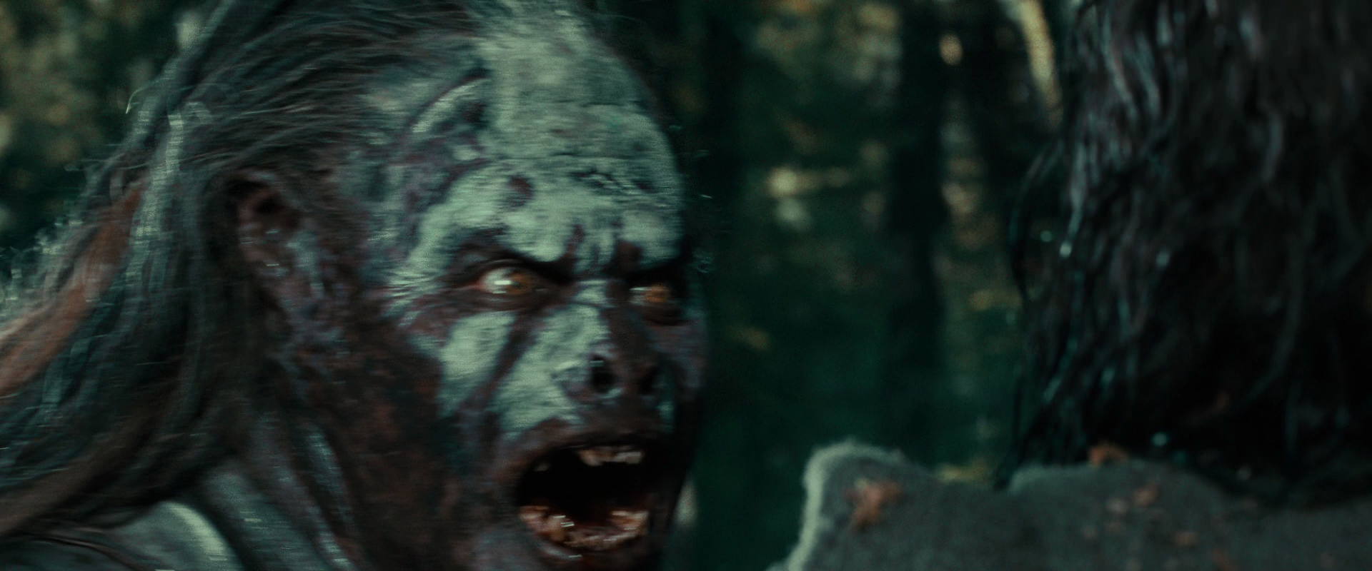 The Lord of the Rings: The Fellowship of the Ring (2001) screencap 22728