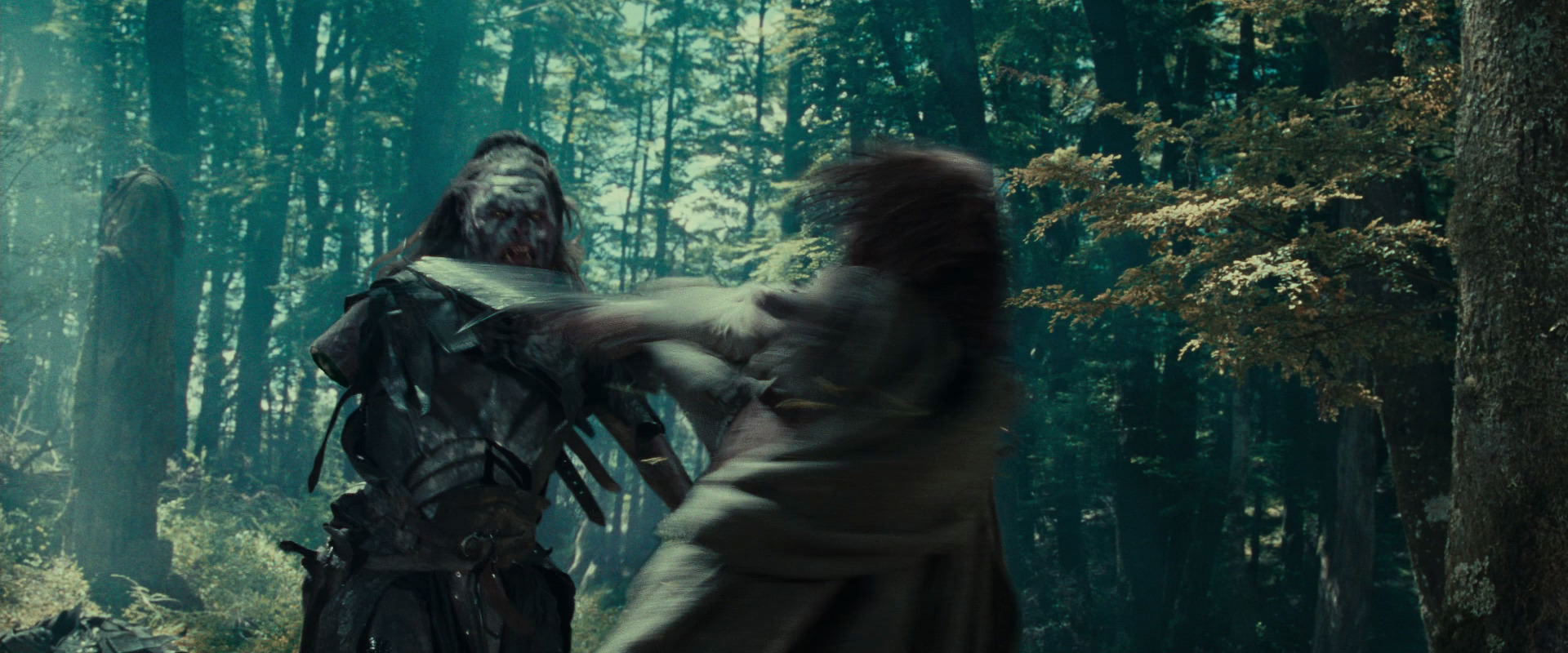 The Lord of the Rings: The Fellowship of the Ring (2001) screencap 22731