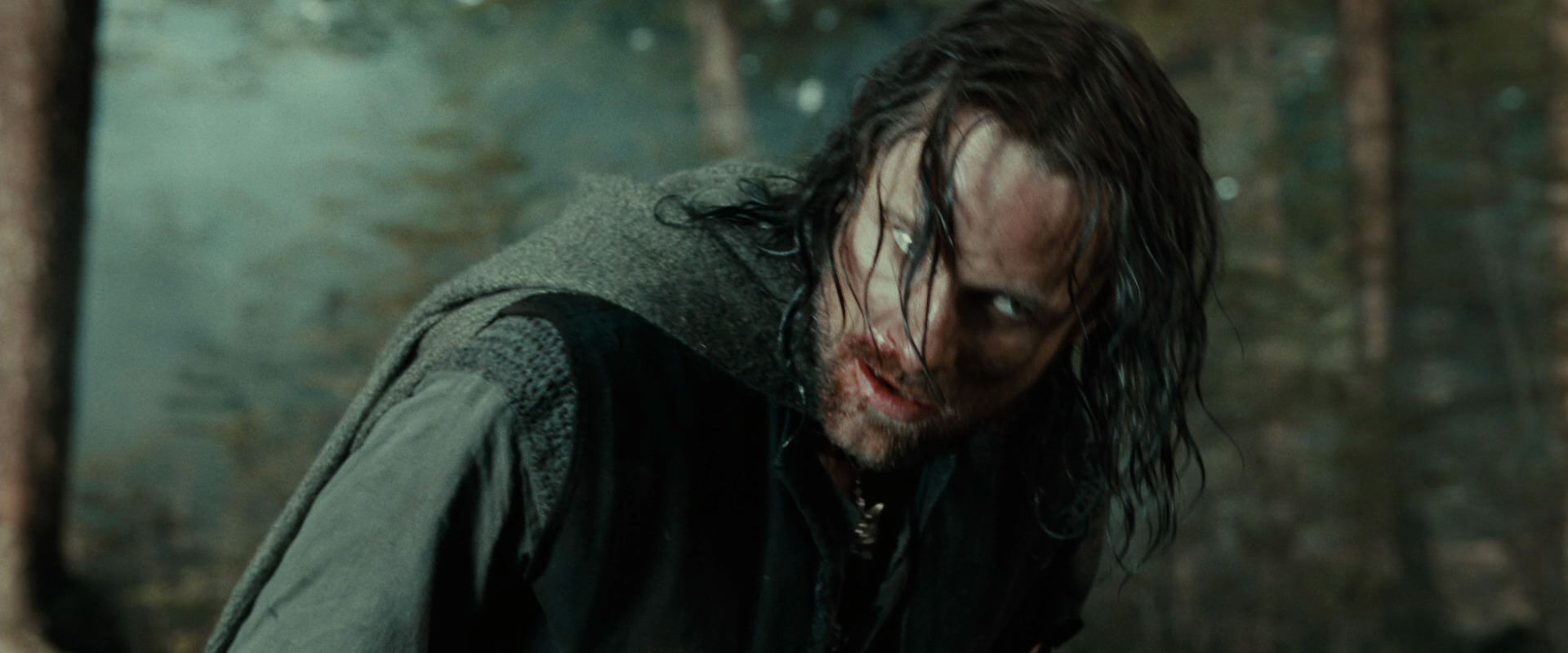 The Lord of the Rings: The Fellowship of the Ring (2001) movie still 22735