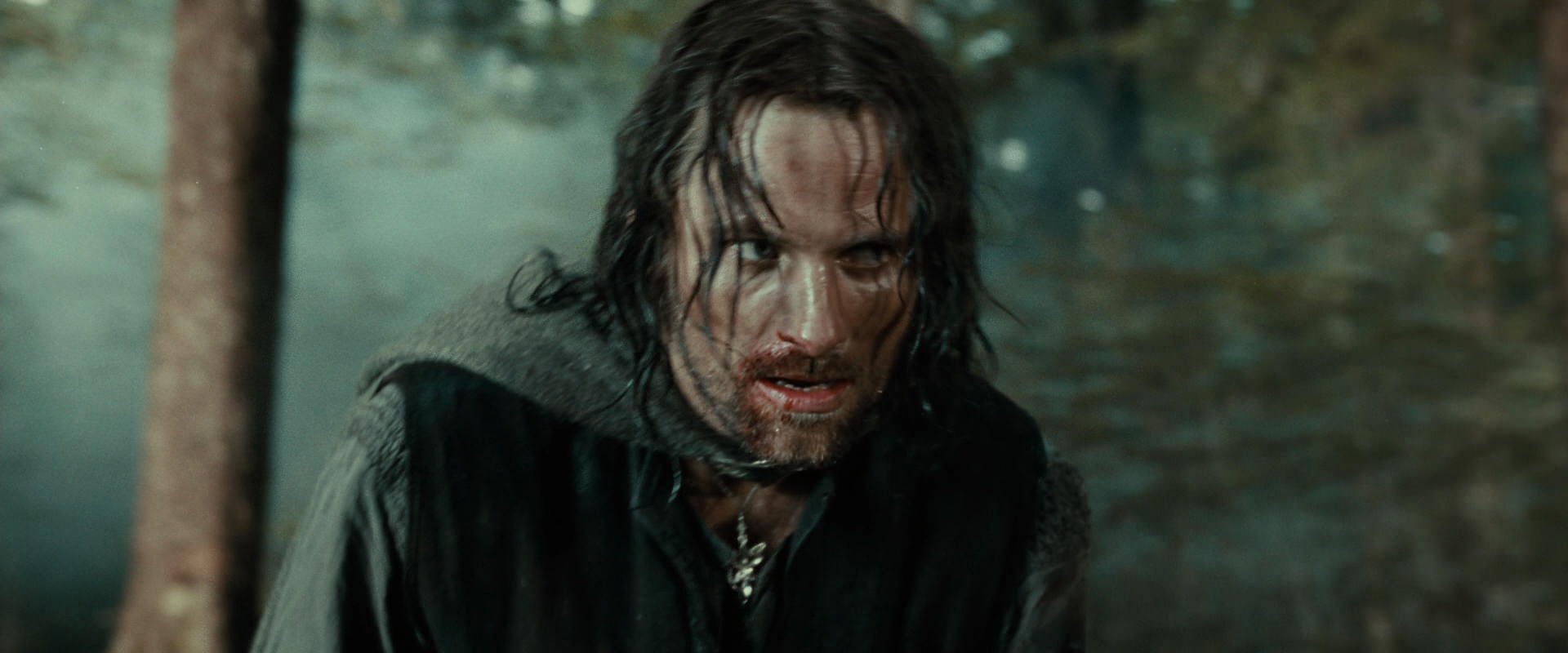 The Lord of the Rings: The Fellowship of the Ring (2001) HD screenshot 22736