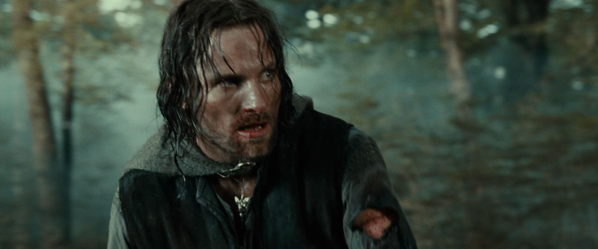 The Lord of the Rings: The Fellowship of the Ring (2001) screencap 22737