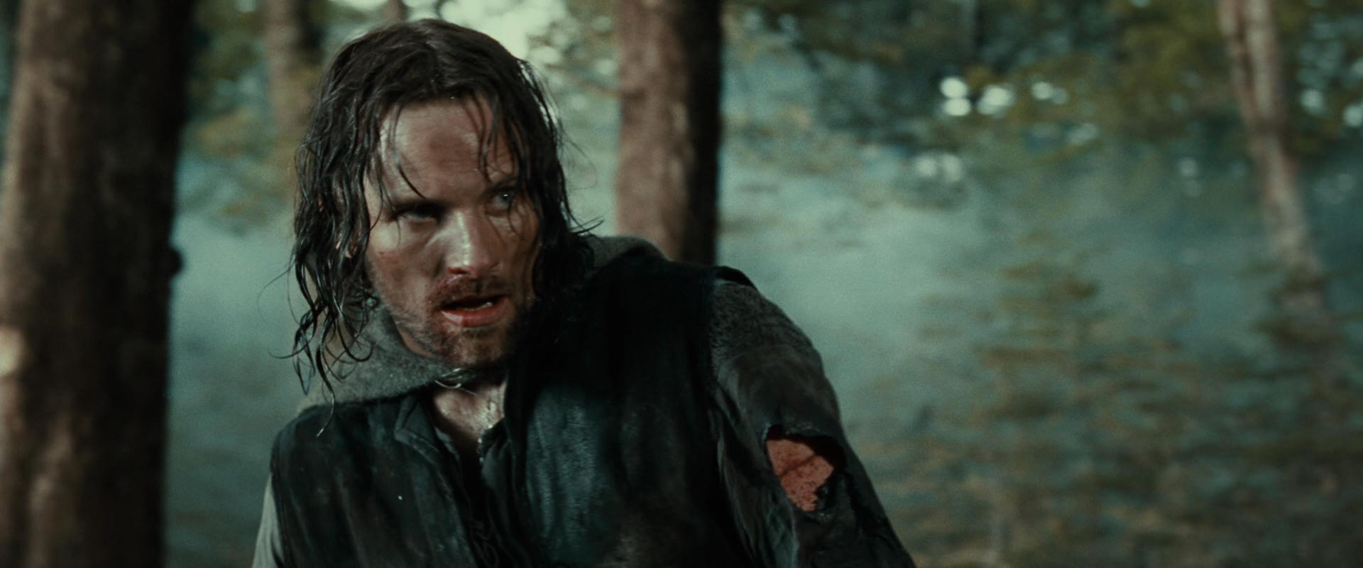 The Lord of the Rings: The Fellowship of the Ring (2001) movie still 22738