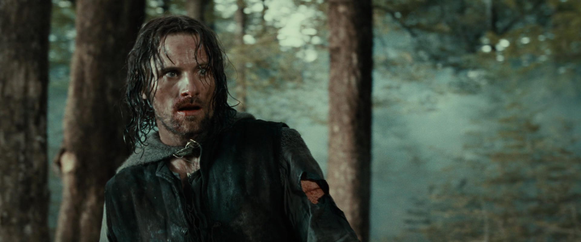 The Lord of the Rings: The Fellowship of the Ring (2001) HD screenshot 22739