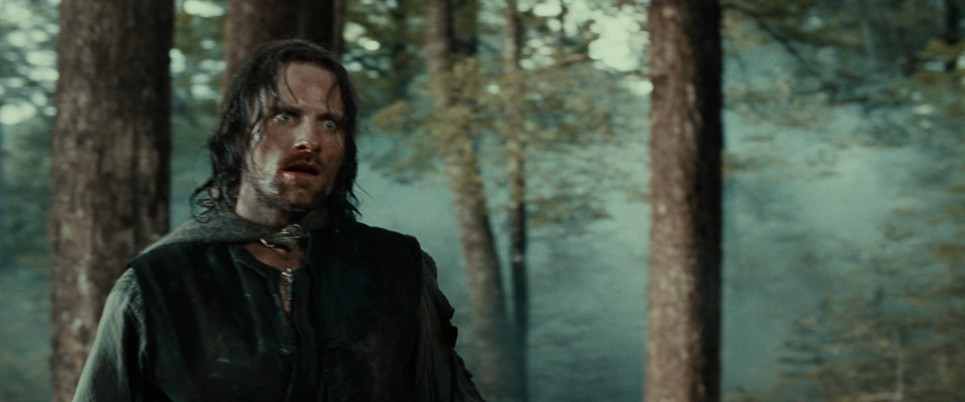 The Lord of the Rings: The Fellowship of the Ring (2001) screencap 22740