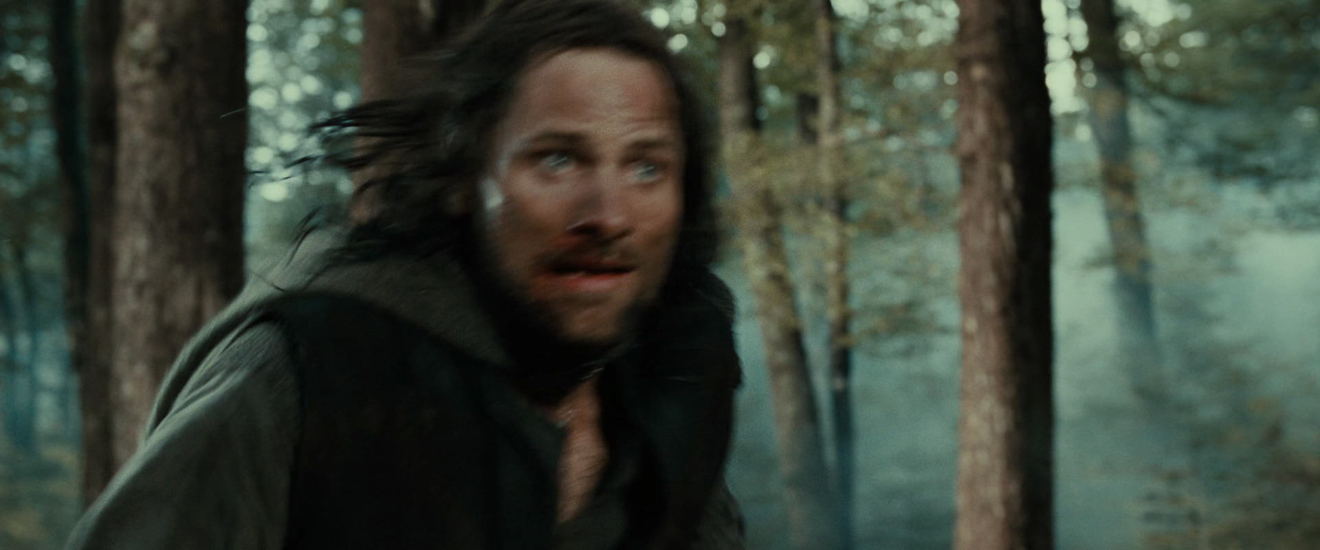 The Lord of the Rings: The Fellowship of the Ring (2001) screencap 22743