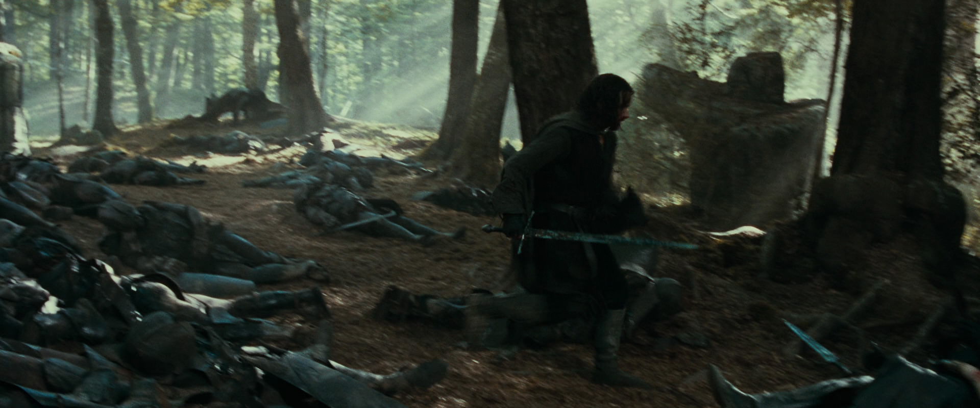 The Lord of the Rings: The Fellowship of the Ring (2001) screencap 22749