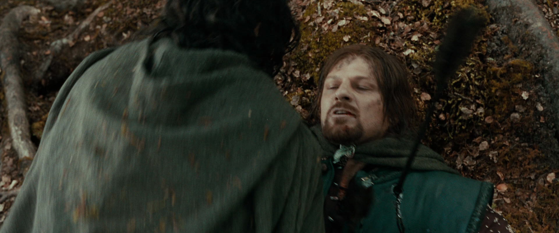 The Lord of the Rings: The Fellowship of the Ring (2001) screencap 22752
