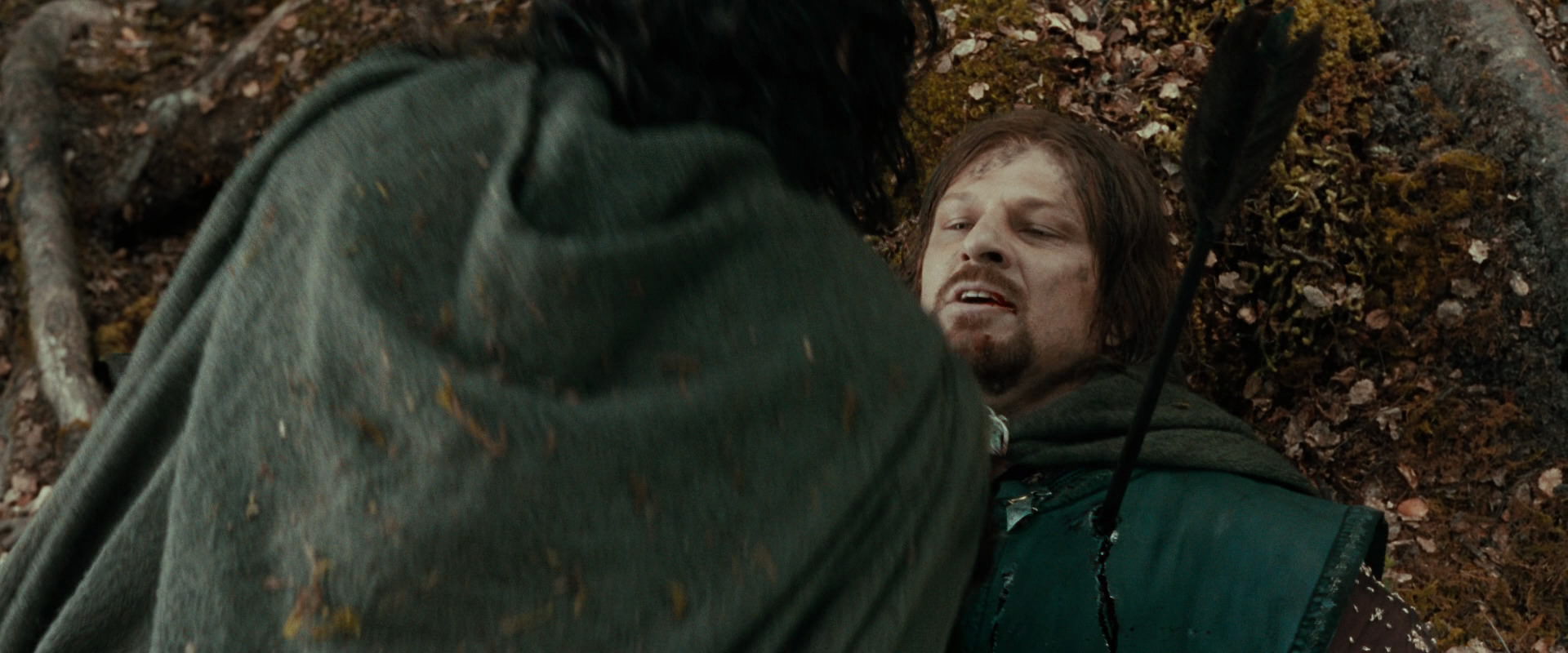 The Lord of the Rings: The Fellowship of the Ring (2001) HD screenshot 22754