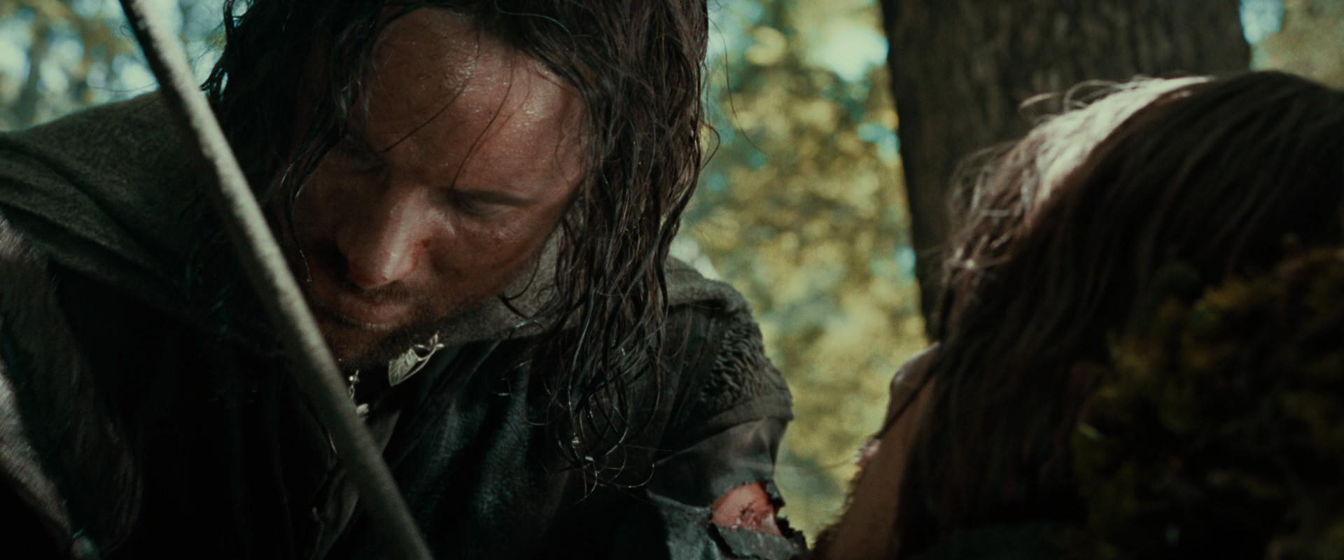The Lord of the Rings: The Fellowship of the Ring (2001) HD screenshot 22757
