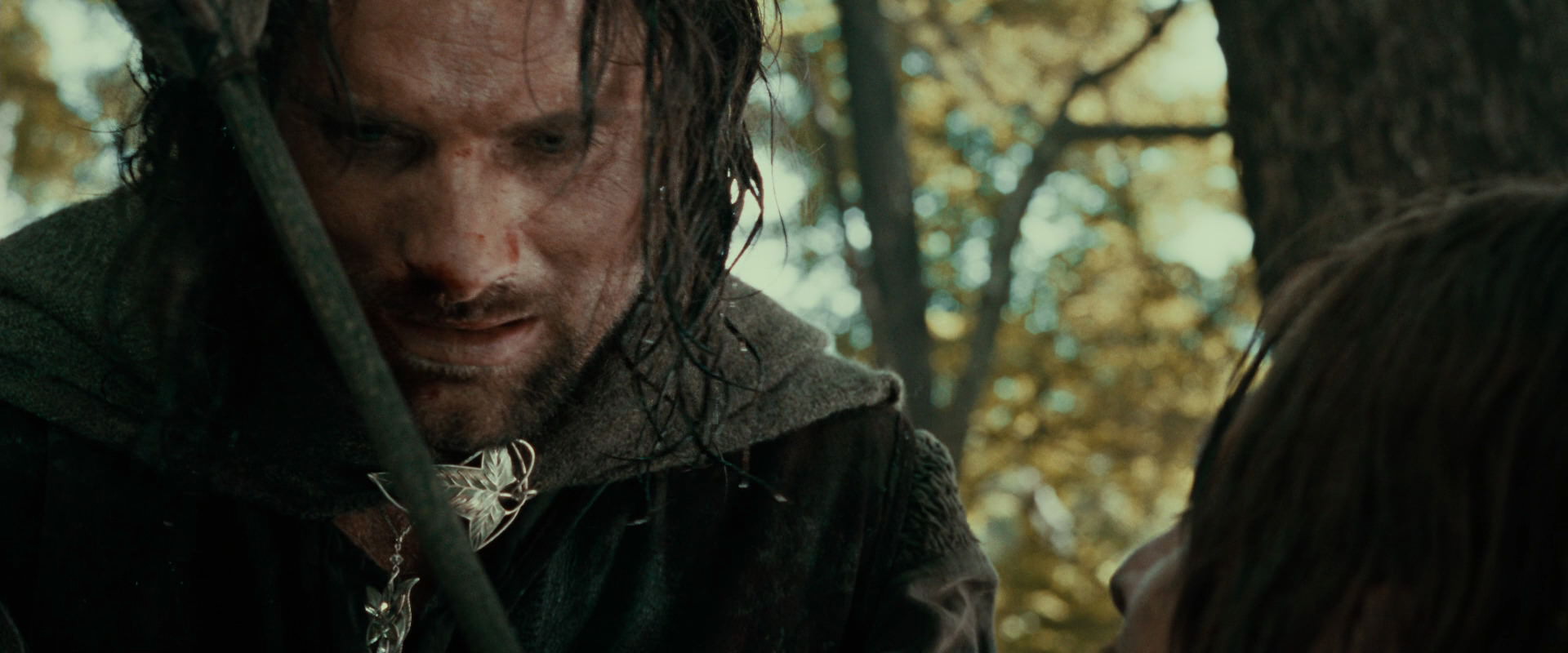 The Lord of the Rings: The Fellowship of the Ring (2001) screencap 22764