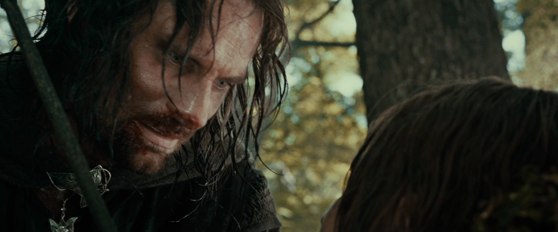 The Lord of the Rings: The Fellowship of the Ring (2001) screencap 22776