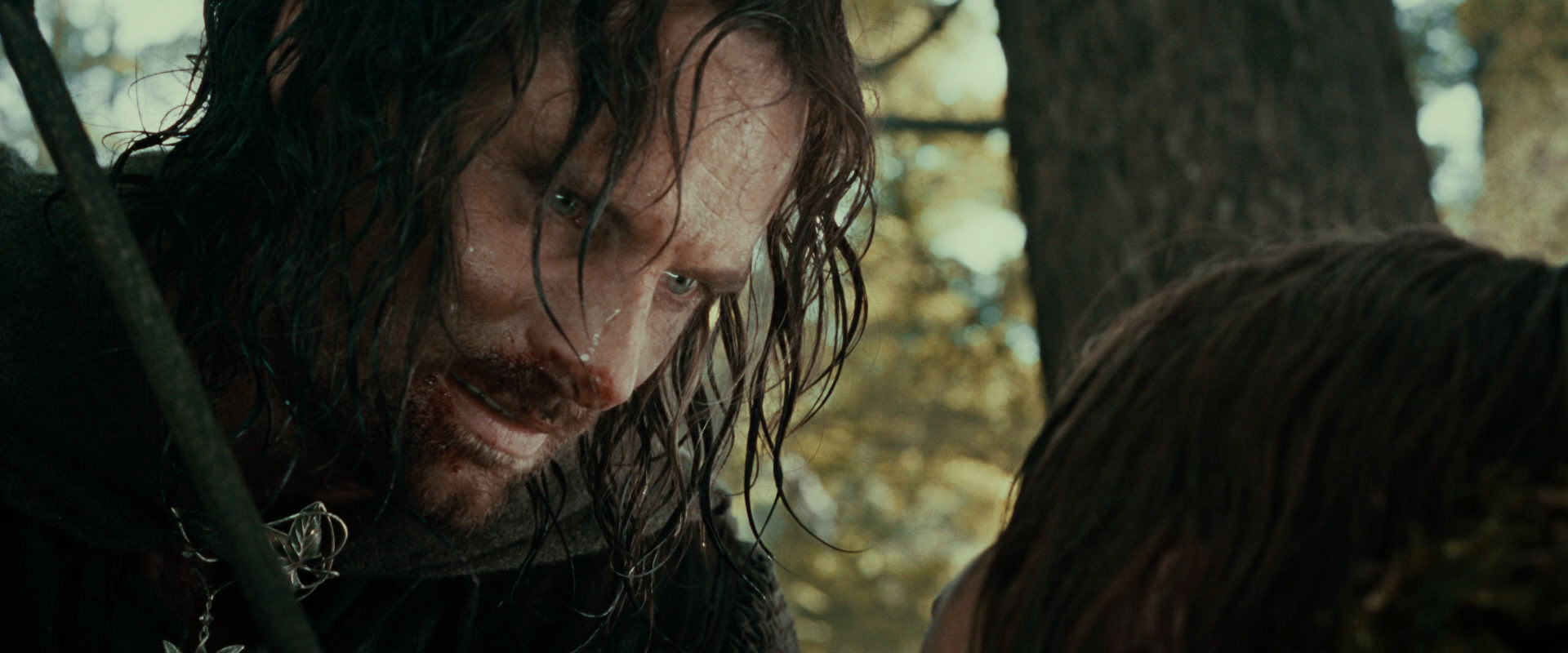 The Lord of the Rings: The Fellowship of the Ring (2001) screencap 22782
