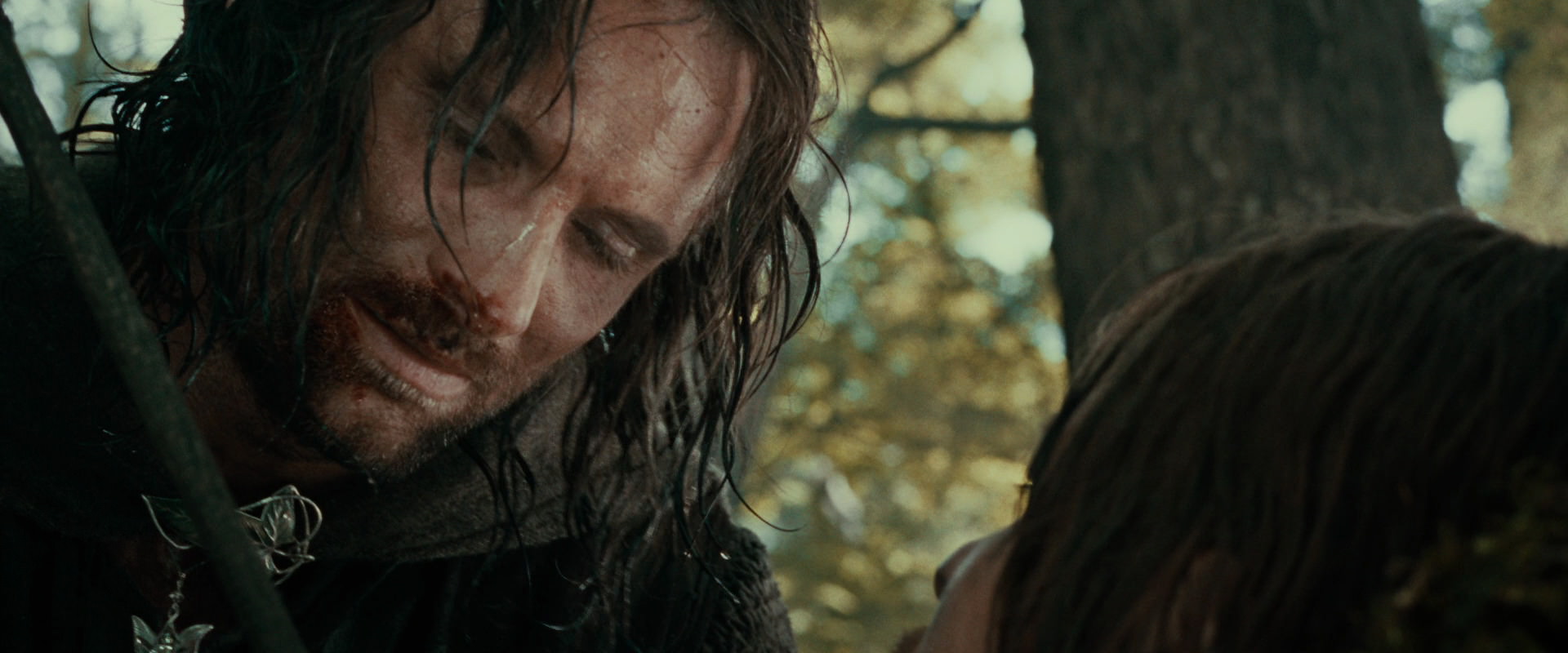 The Lord of the Rings: The Fellowship of the Ring (2001) HD screenshot 22784