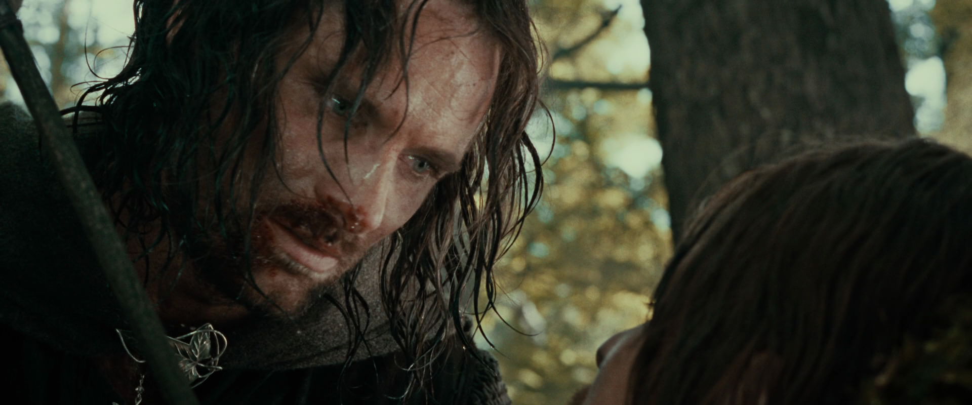 The Lord of the Rings: The Fellowship of the Ring (2001) screencap 22785