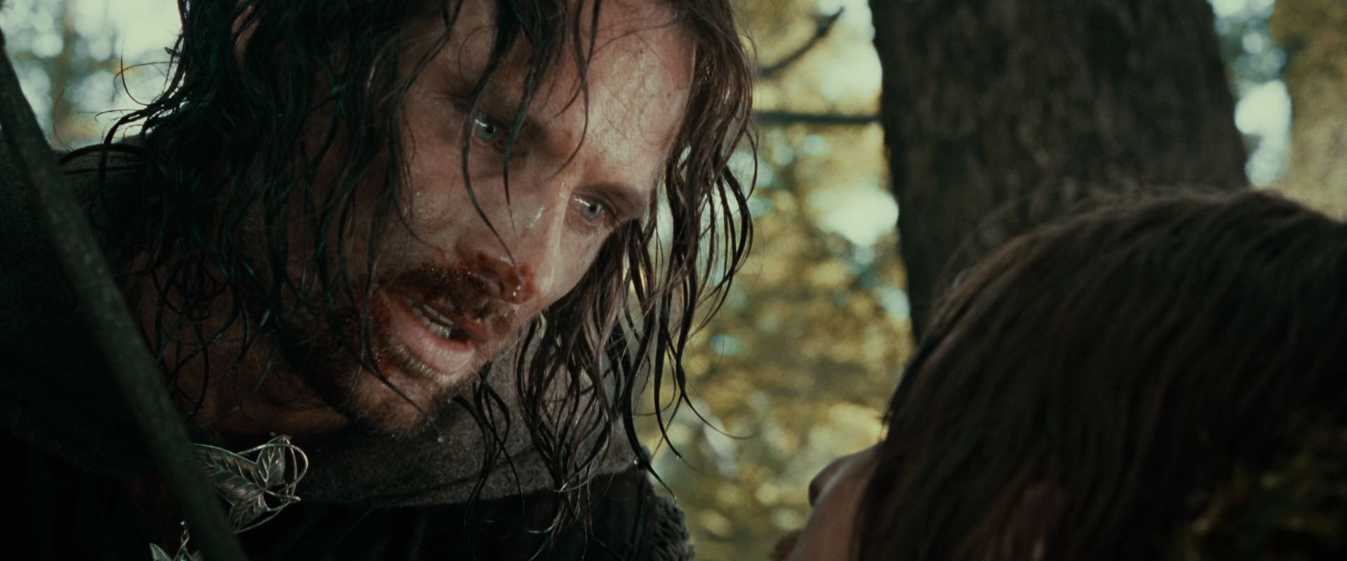 The Lord of the Rings: The Fellowship of the Ring (2001) movie still 22786