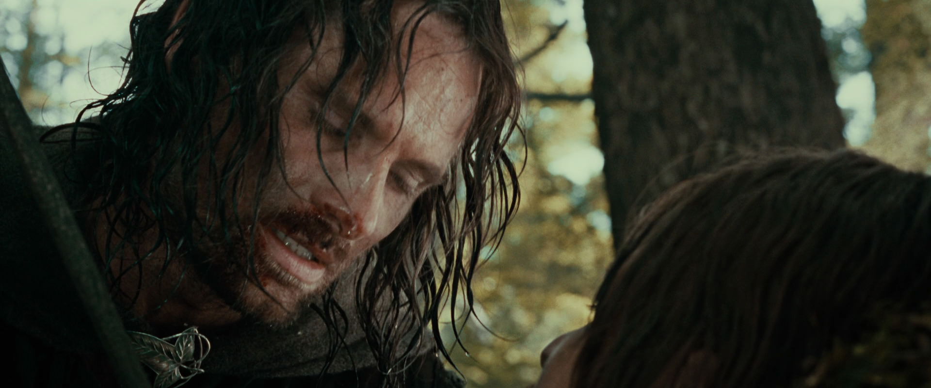 The Lord of the Rings: The Fellowship of the Ring (2001) HD screenshot 22787