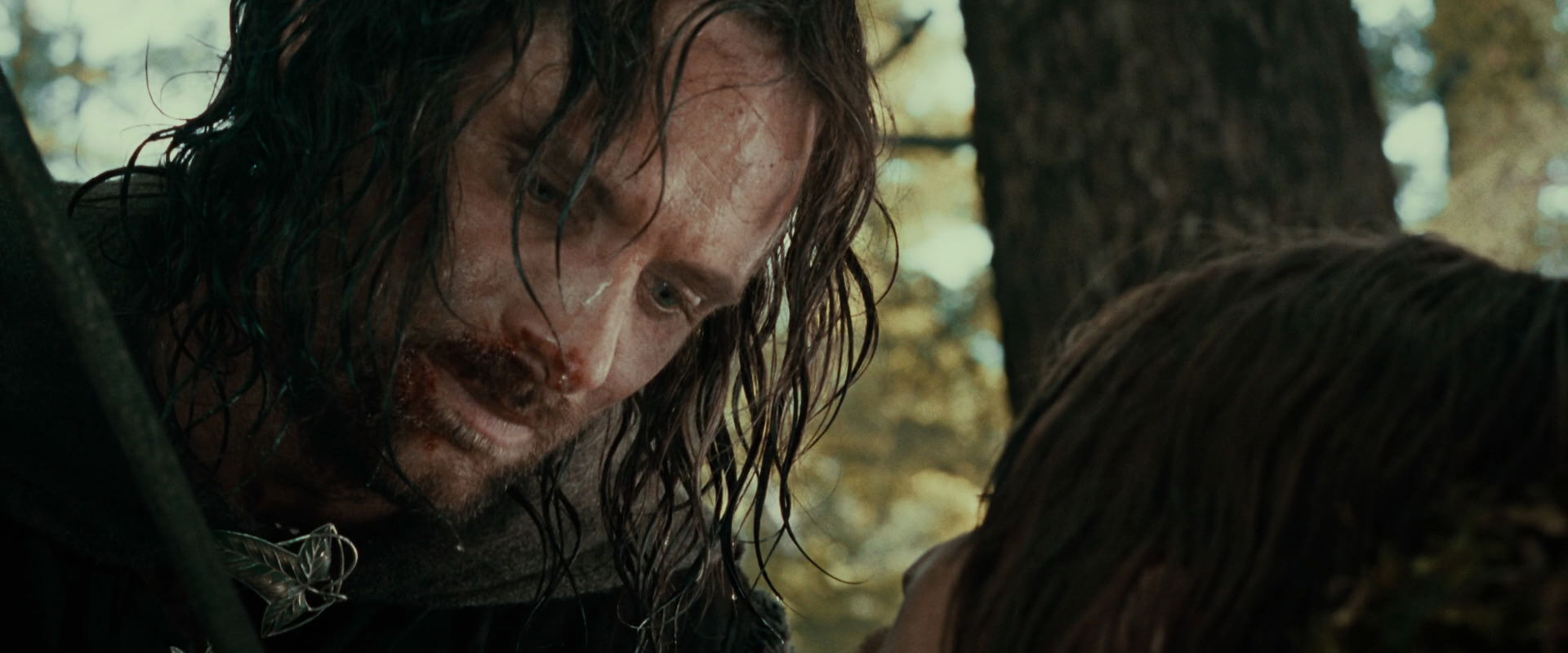 The Lord of the Rings: The Fellowship of the Ring (2001) screencap 22788