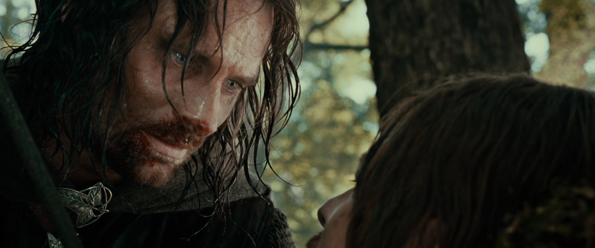 The Lord of the Rings: The Fellowship of the Ring (2001) screencap 22806
