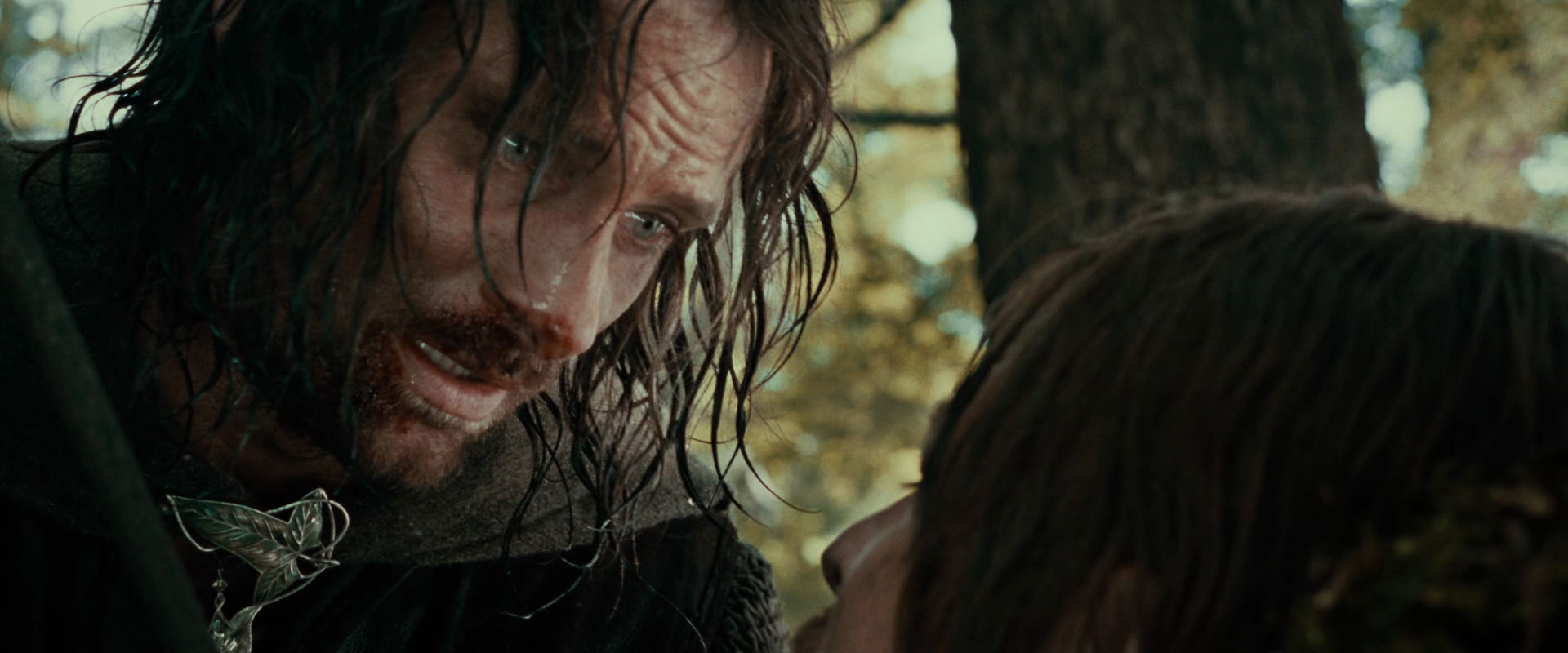 The Lord of the Rings: The Fellowship of the Ring (2001) HD screenshot 22814