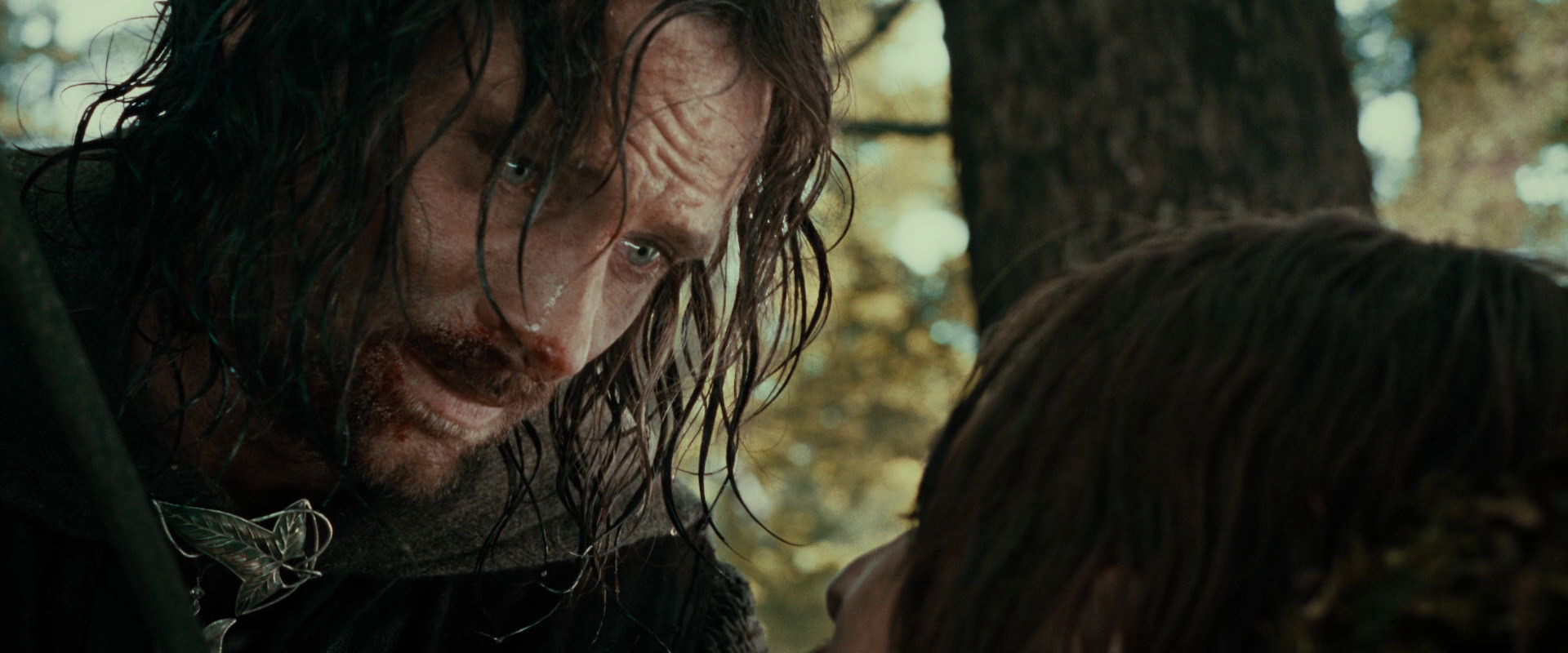 The Lord of the Rings: The Fellowship of the Ring (2001) screencap 22815
