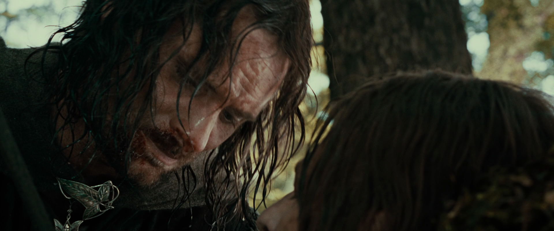 The Lord of the Rings: The Fellowship of the Ring (2001) HD screenshot 22817