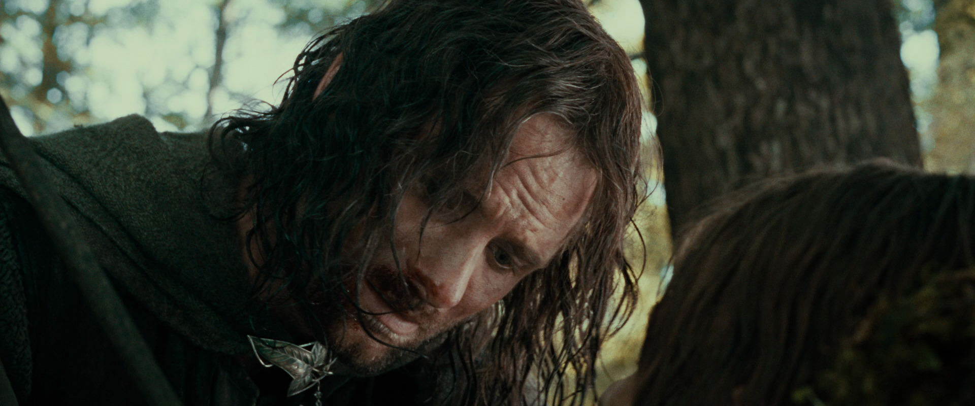 The Lord of the Rings: The Fellowship of the Ring (2001) HD screenshot 22820