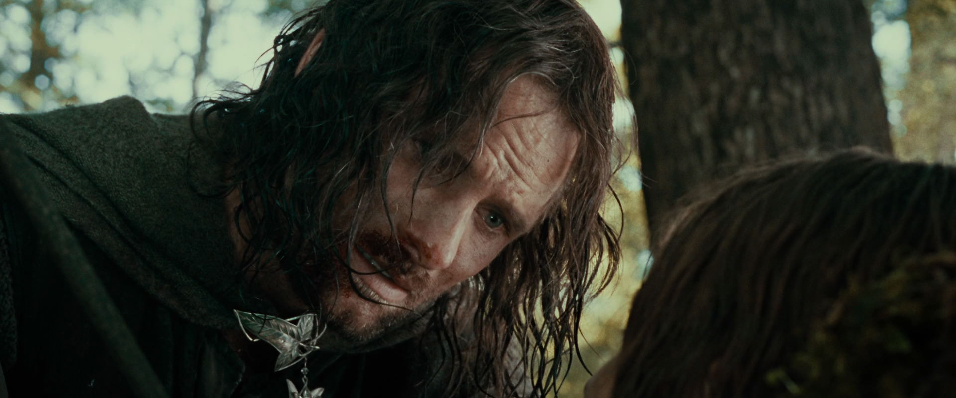 The Lord of the Rings: The Fellowship of the Ring (2001) screencap 22821