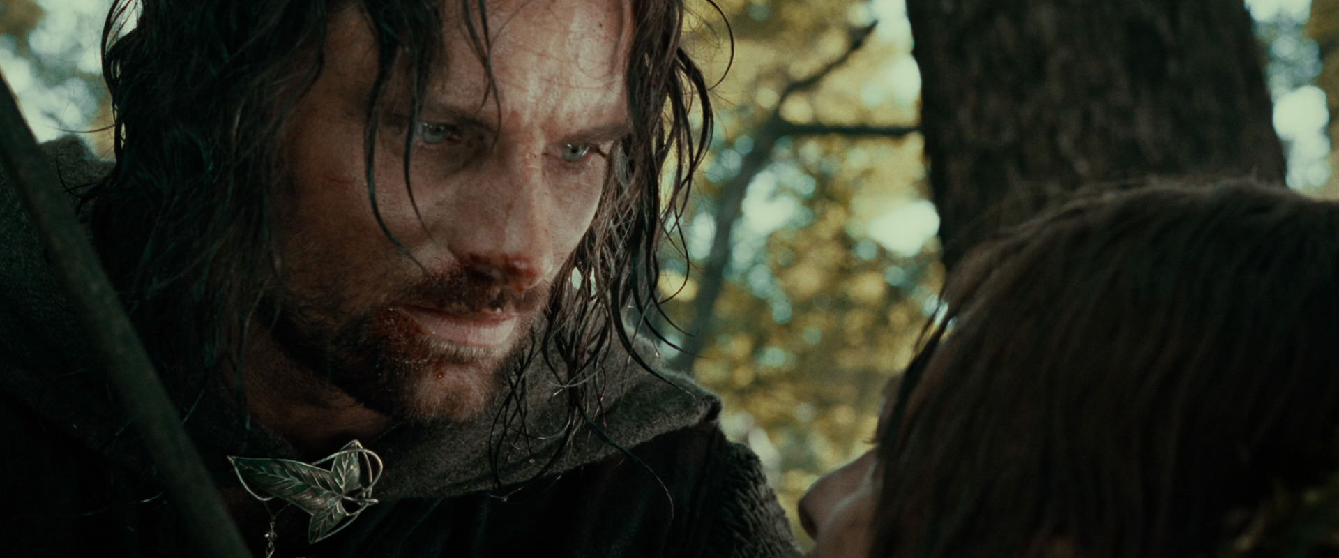 The Lord of the Rings: The Fellowship of the Ring (2001) screencap 22833