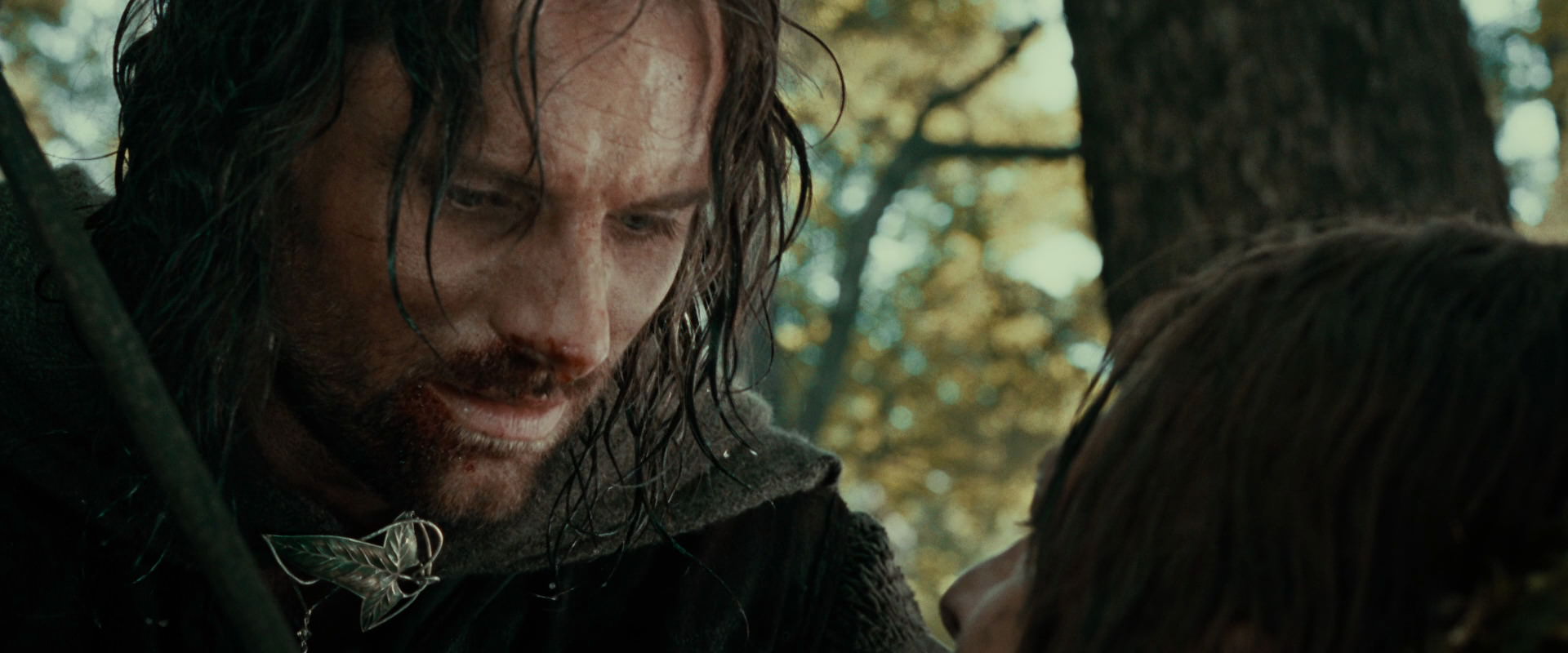 The Lord of the Rings: The Fellowship of the Ring (2001) screencap 22839