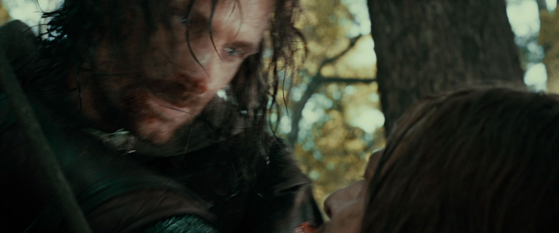 The Lord of the Rings: The Fellowship of the Ring (2001) screencap 22848